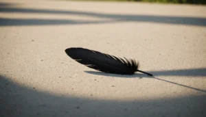 signification plume noire
